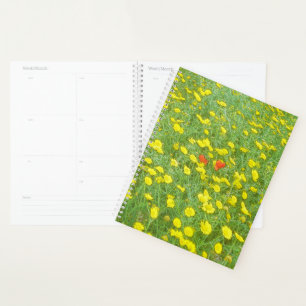 Watercolor poppies planner
