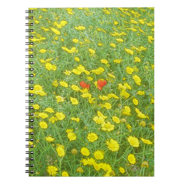 Watercolor poppies spiral notebook (Front)