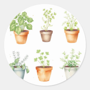 Watercolor Potted Herbs on Cream Background Classic Round Sticker