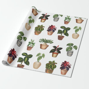 Watercolor Potted Plants Terracotta Pots Pattern  Wrapping Paper