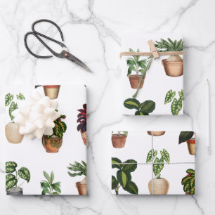Watercolor Potted Plants Terracotta Pots Pattern  Wrapping Paper Sheet