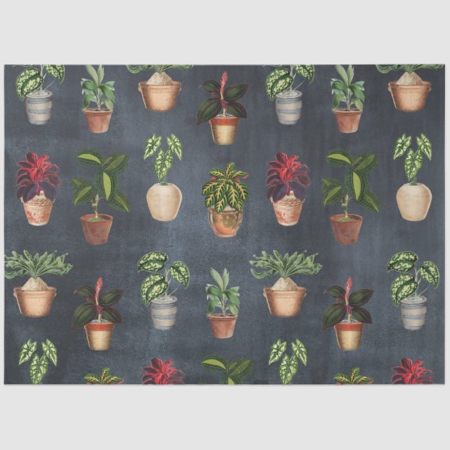 Watercolor Potted Plants Terracotta Pots Rustic Tissue Paper (Front)