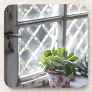 Watercolor Pretty Plant in the Window Coaster