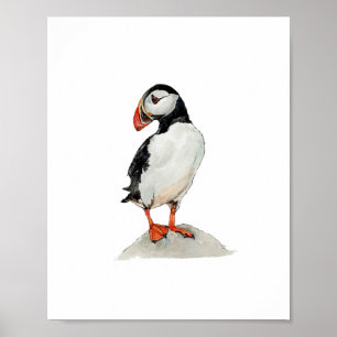 Watercolor Puffin Bird Painting Poster