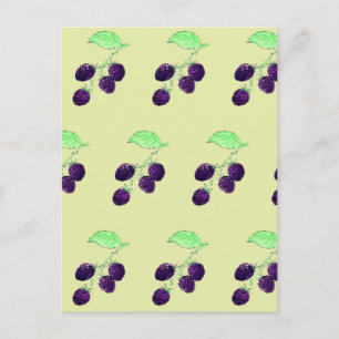 Watercolor Purple Blackberry Botanical Postcard