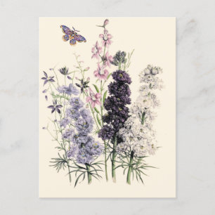 Watercolor Purple, Pink Garden Flowers, Butterfly Postcard
