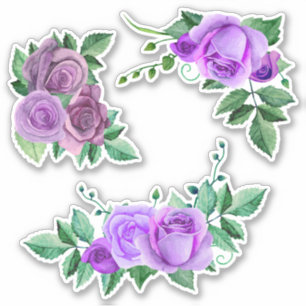 Watercolor purple roses. Lilac flowers. Violet