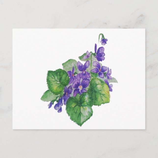 Watercolor Purple Violet Flower  Floral Art Postcard (Front)