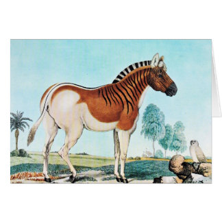 Watercolor Quagga (Zebra) Art