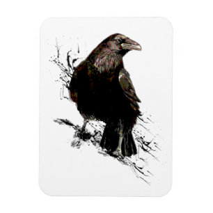 Watercolor Raven Bird Animal Art Magnet