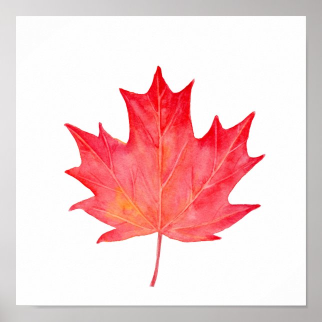Watercolor Red Maple Leaf Poster (Front)