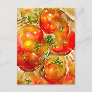 watercolor. Red tomatoes. kitchen Postcard