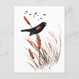 Watercolor Red Winged Blackbird Bird Animal Art Holiday Postcard