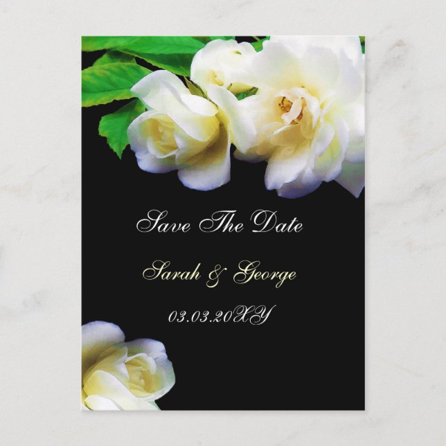 watercolor romantic white rose save the date announcement postcard (Front)