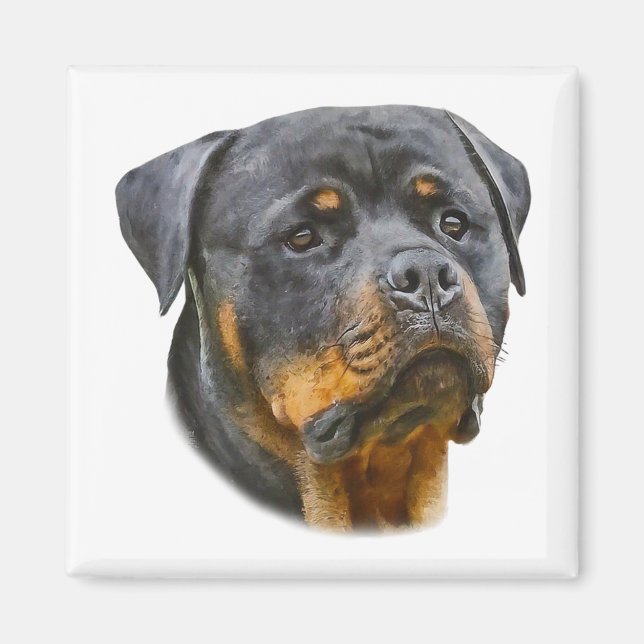 Watercolor Rottweiler Magnet (Front)