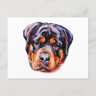 Watercolor Rottweiler Postcard