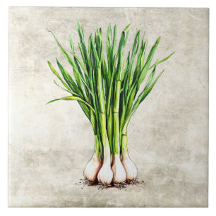 Watercolor Rustic Scallions Faux Texture  Tile