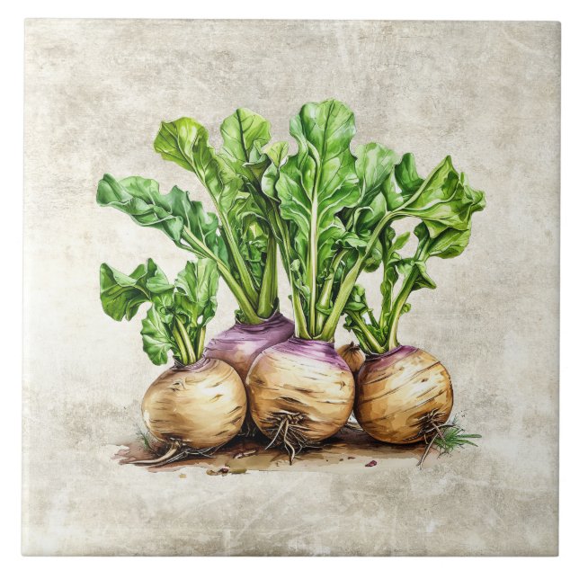Watercolor Rustic Turnips Faux Texture  Tile (Front)