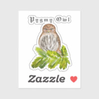 Watercolor Saw Whet Cute Little Owls