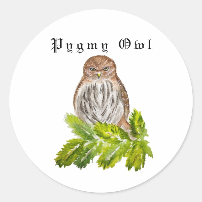 Watercolor Saw Whet Cute Little Owls Classic Round Sticker (Front)