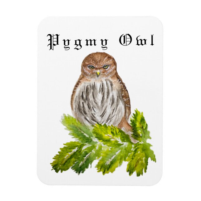 Watercolor Saw Whet Cute Little Owls Magnet (Vertical)