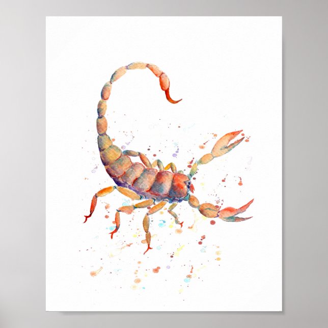 Watercolor Scorpion Poster (Front)