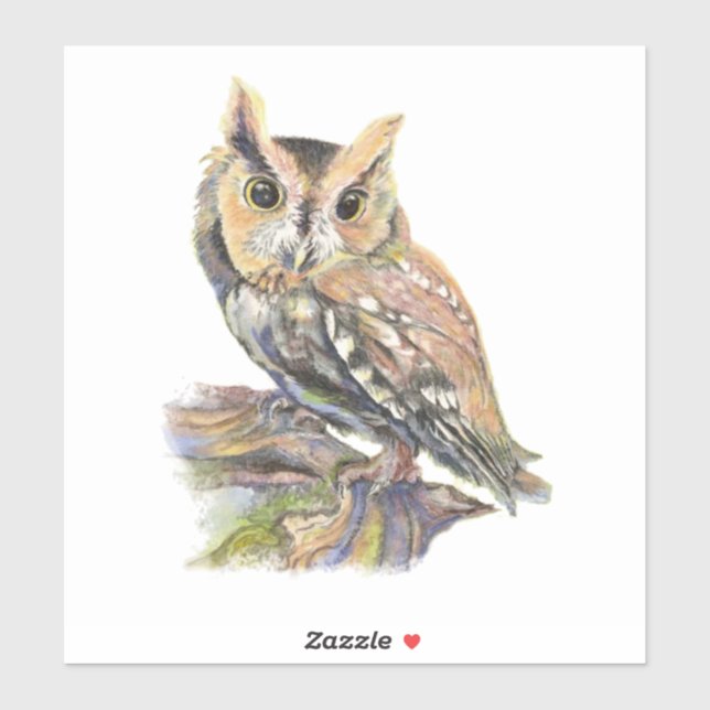 Watercolor Screech Owl Bird Nature Art (Sheet)