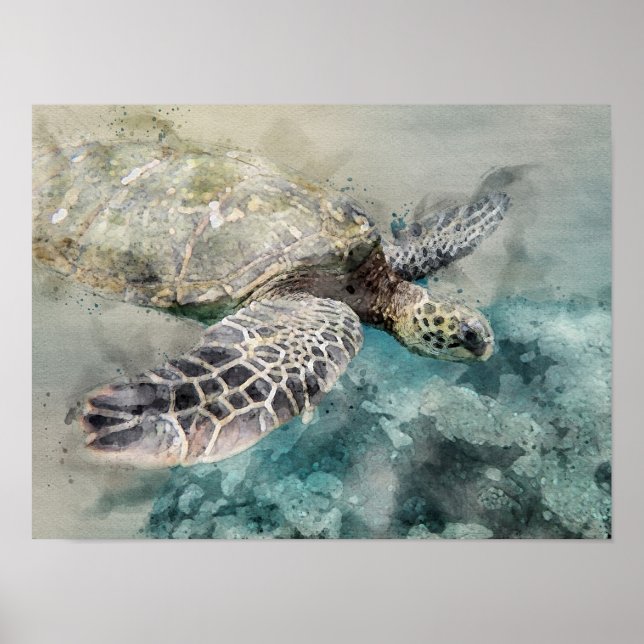 Watercolor Sea turtle Poster (Front)