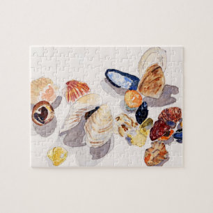 Watercolor Seashell Puzzle