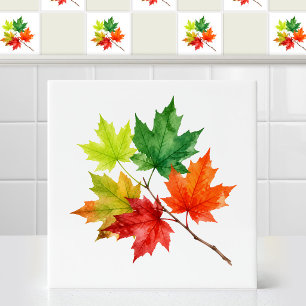 Watercolor Seasonal Mixed Canadian Maple Leaves Tile