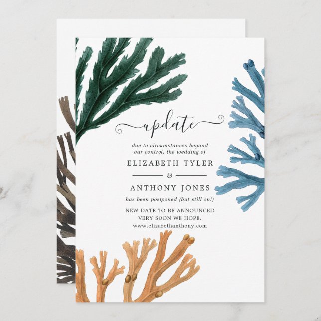 Watercolor Seaweed Beach Themed Wedding Update Invitation (Front/Back)