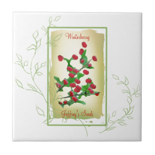 Watercolor Seed Packet Winterberry Tile