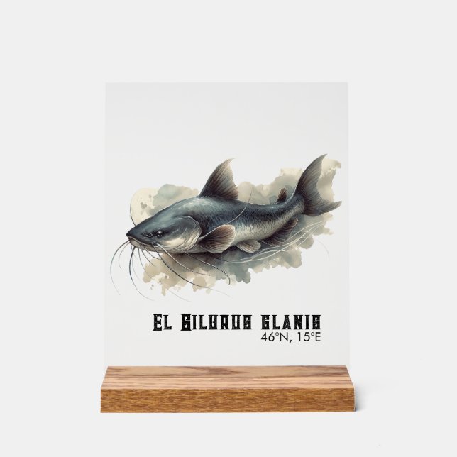 Watercolor Series: Catfish Acrylic Sign (Front)