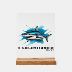 Watercolor Series: Shark Acrylic Sign