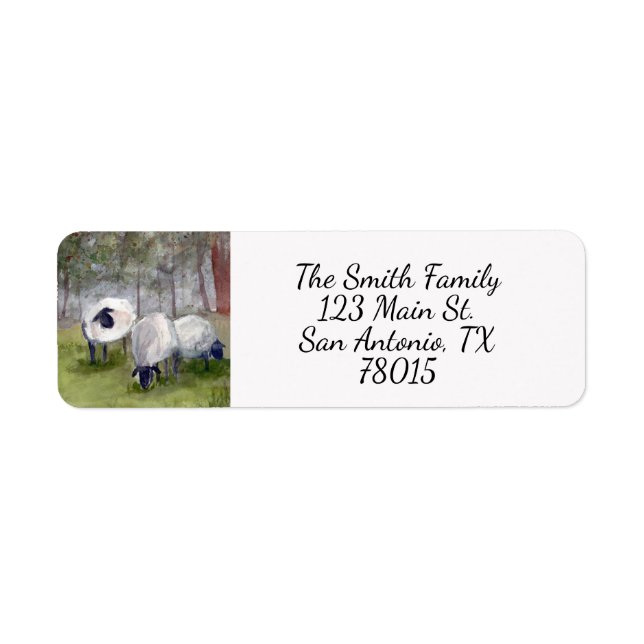 Watercolor Sheep Return Address (Front)