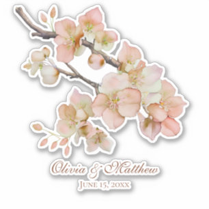 Watercolor soft orange pink spring blossoms