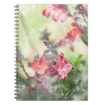 Watercolor spring flowers