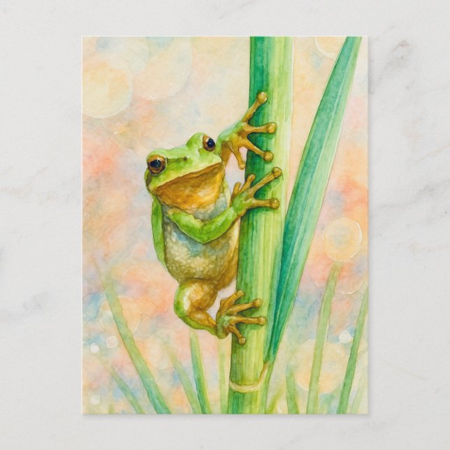 Watercolor Springtime Frog Postcard Postcrossing (Front)