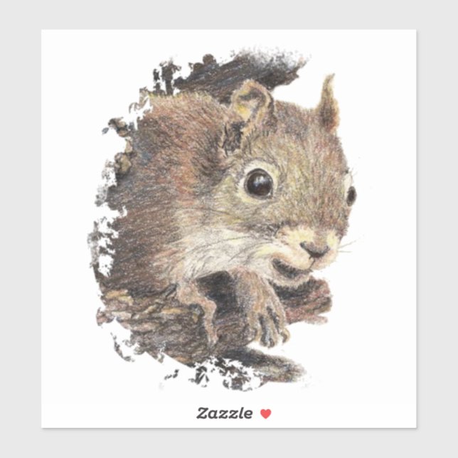 Watercolor Squirrel Animal  Nature Art (Sheet)