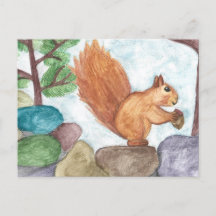 Watercolor Squirrel Post Card | Unique | Nature