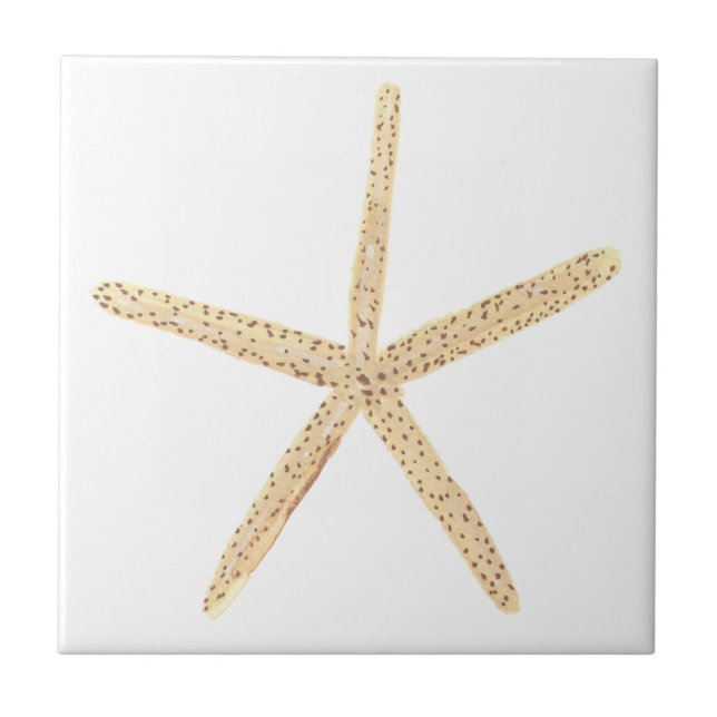 Watercolor Starfish Seashell Tile (Front)