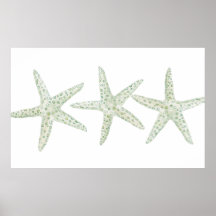 Watercolor Starfish Trio