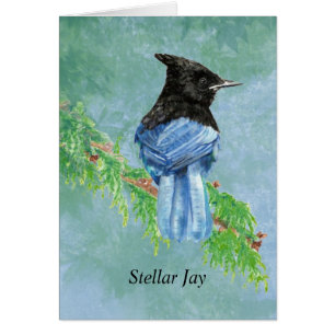 Watercolor Stellar Jay Bird Nature