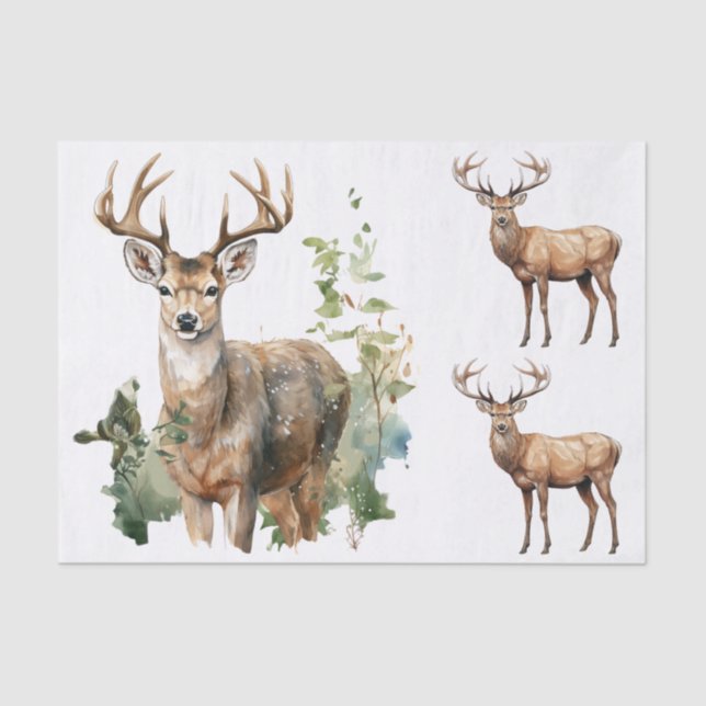 Watercolor Style Illustrations - 3 Male Deer Bucks Tissue Paper (Front)