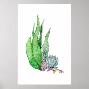 Watercolor Succulent Botanical Greenery Poster
