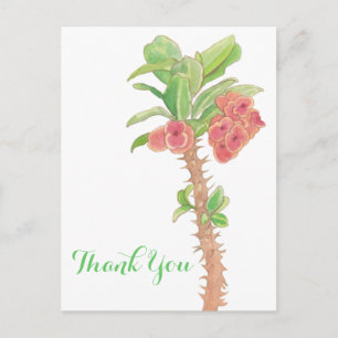 Watercolor Succulent Crown of Thorns Thank You Postcard