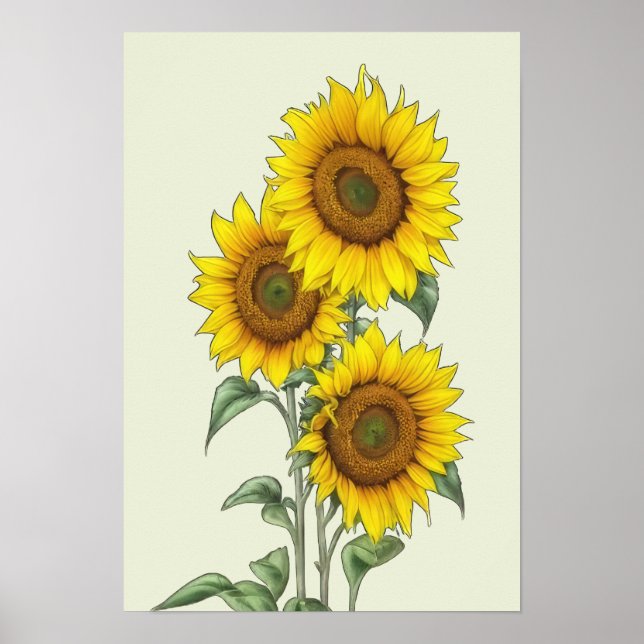 Watercolor Sunflower Poster (Front)