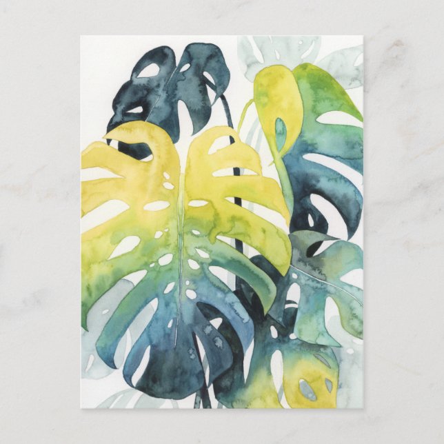 Watercolor Sunset Palm Tree Leaves Postcard (Front)