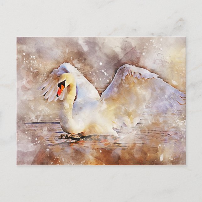 Watercolor Swan Postcard (Front)