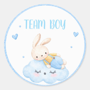 Watercolor team Boy Bunny blue Cloud Gender Reveal Classic Round Sticker